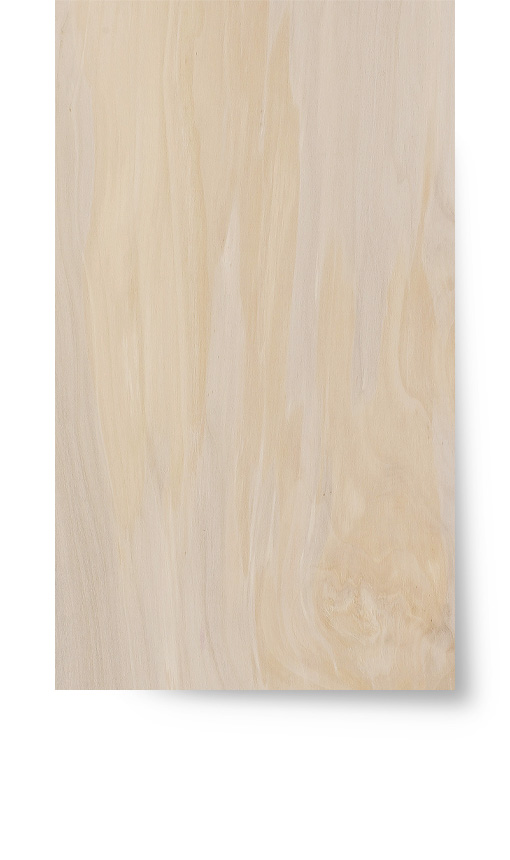 Ebonyandco - Continental Poplar - Select